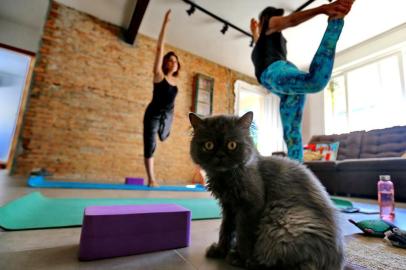  PORTO ALEGRE, RS, BRASIL, 25/04/2019- As experiências curiosas do Airbnb em Porto Alegre:  ioga com gatos. Na foto- Ana e seu gato. (FOTOGRAFO: JÚLIO CORDEIRO / AGENCIA RBS)