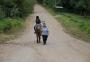 Trote a cavalo pelas ruas Lami: como é passear com a égua Helena de Troia