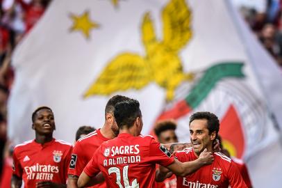 jonas, benfica