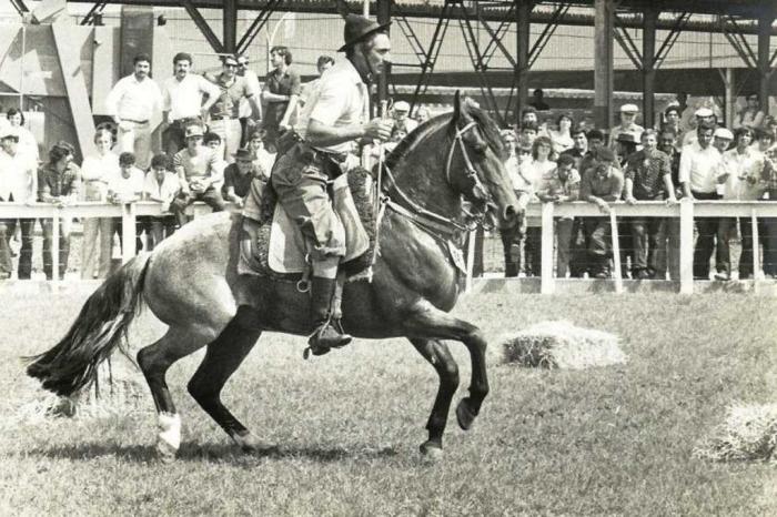 ABCCC / Divulgação