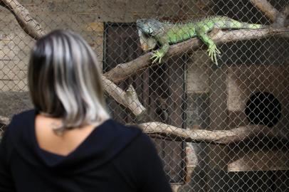  SAPUCAIA DO SUL,  RS, BRASIL, 09/05/2019- Zoológico de Sapucaia. (FOTOGRAFO: JEFFERSON BOTEGA / AGENCIA RBS)Indexador: Jefferson Botega