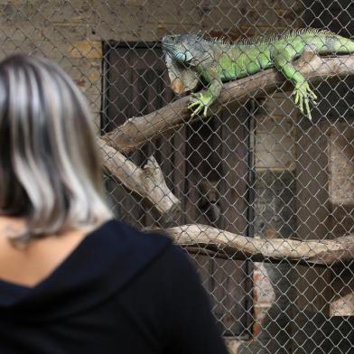  SAPUCAIA DO SUL,  RS, BRASIL, 09/05/2019- Zoológico de Sapucaia. (FOTOGRAFO: JEFFERSON BOTEGA / AGENCIA RBS)Indexador: Jefferson Botega