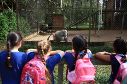  SAPUCAIA DO SUL,  RS, BRASIL, 09/05/2019- Zoológico de Sapucaia. (FOTOGRAFO: JEFFERSON BOTEGA / AGENCIA RBS)Indexador: Jefferson Botega