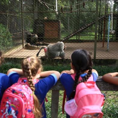  SAPUCAIA DO SUL,  RS, BRASIL, 09/05/2019- Zoológico de Sapucaia. (FOTOGRAFO: JEFFERSON BOTEGA / AGENCIA RBS)Indexador: Jefferson Botega