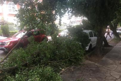 Um caminhão bateu em galhos de árvores e derrubou fios na avenida Luiz Manoel Gonzaga, bairro Petrópolis, na manhã desta terça-feira (14) em Porto Alegre. Os galhos atingiram um carro que estava estacionado próximo da Avenida Carlos Gomes.