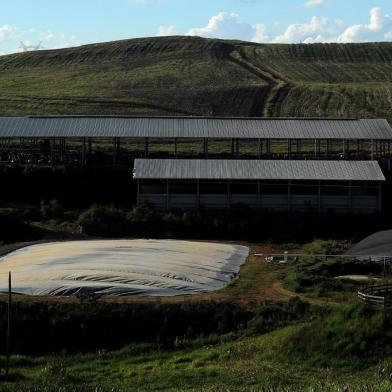  FARROUPILHA, RS, BRASIL - 02/05/2019 - Geração de biogás na fazenda Trevisan, na vila jansen, no interior de Farroupilha (FOTO: ANSELMO CUNHA/AGÊNCIA RBS)