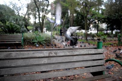  CAXIAS DO SUL, RS, BRASIL, 27/05/2019A semana começa com muitas nuvens e previsão de chuva a qualquer momento no Rio Grande do Sul nesta segunda-feira (27). Na terça-feira, a chuva perde intensidade na maior parte do Estado, com pancadas apenas no Norte e risco para temporais no Noroeste. De acordo com a Somar Meteorologia, Caxias do Sul deve ter chuvas intercaladas com períodos de tempo nublado. A mínima será de 13°C e a máxima de 17°C.(Lucas Amorelli/Agência RBS)