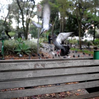  CAXIAS DO SUL, RS, BRASIL, 27/05/2019A semana começa com muitas nuvens e previsão de chuva a qualquer momento no Rio Grande do Sul nesta segunda-feira (27). Na terça-feira, a chuva perde intensidade na maior parte do Estado, com pancadas apenas no Norte e risco para temporais no Noroeste. De acordo com a Somar Meteorologia, Caxias do Sul deve ter chuvas intercaladas com períodos de tempo nublado. A mínima será de 13°C e a máxima de 17°C.(Lucas Amorelli/Agência RBS)