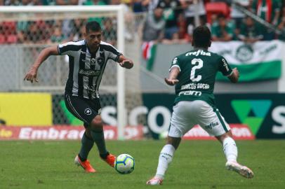 botafogo, palmeiras, brasileirão