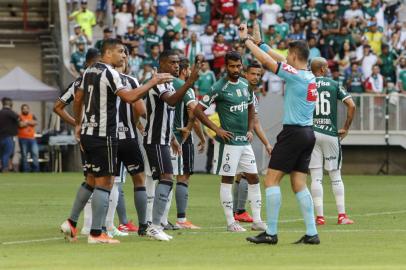 botafogo, palmeiras, brasileirão, mané garrincha, var, Paulo Roberto Alves Junior