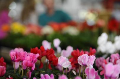  Venda de flores para o Dia das Mães