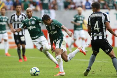 palmeiras - botafogo