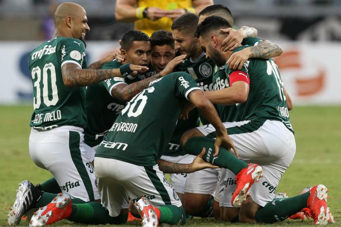 Palmeiras / Divulgação