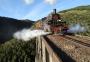 Rio Grande do Sul terá passeios turísticos experimentais de trem em agosto e setembro