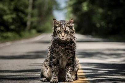 gato Leo , cemitério maldito