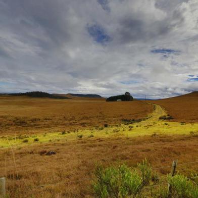 Vista de pampas gaÃºchos, no Rio de Janeiro (RJ)SERRA DO MONTE NEGRO, RS , 12.07.2016: Pampas gaÃºchos sÃ£o alvos de alteraÃ§Ã£o na MP 867, que diz que o desmatamento no bioma atÃ© o ano 2000 pode ficar sem compensa. (Foto: Paulo Campos/Folhapress)Local: Rio de Janeiro ;RJ - Rio de Janeiro ;Bra