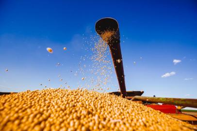  Cruz Alta, RS, BRASIL, 05/04/2018 : Campo e Lavoura - Colheita da Soja - Região Norte. (Omar Freitas/Agência RBS)Indexador: Omar Freitas