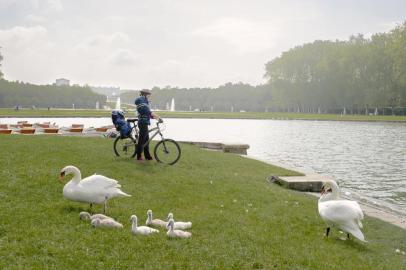 Taking in the grand canal with a family of swans.LOIRE VALLEY, France Ñ BC-TRAVEL-TIMES-FRANCE-BIKING-ART-NYTSF Ñ Taking in the grand canal with a family of swans. (CREDIT: Elliott Verdier/The New York Times)--ONLY FOR USE WITH ARTICLE SLUGGED -- BC-TRAVEL-TIMES-FRANCE-BIKING-ART-NYTSF -- OTHER USE PROHIBITED.Indexador: Elliott VerdierFonte: NYTNSFotógrafo: STR