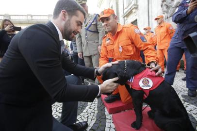  PORTO ALEGRE, RS, BRASIL - 2019.06.07 - Homenagem  prestada pelo governador Eduardo Leite a cães, bombeiros e perita do IGP que estiveram em Brumadinho, auxiliando na tragédia. (Foto: ANDRÉ ÁVILA/ Agência RBS)