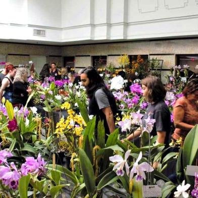  Exposição do Círculo Gaúcho de Orquidófilos (CGO) no Bourbon Shopping Country, em abril desse ano.  2019.