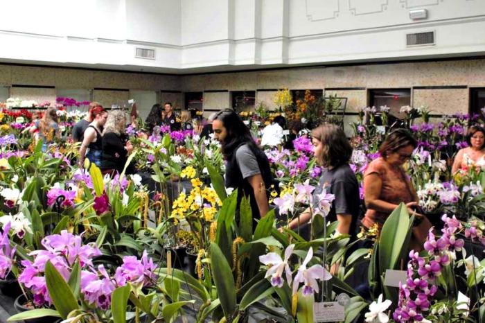 Aluna de Toledo participa de feira científica de Londres com pesquisa de  germinação de orquídeas