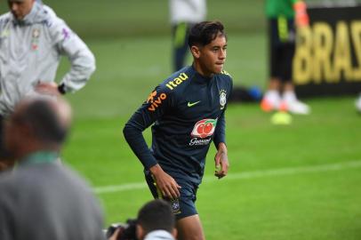 josé aldo, seleção brasileira, treino,