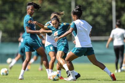 seleção feminina , treino , marta , brasil, Copa do Mundo