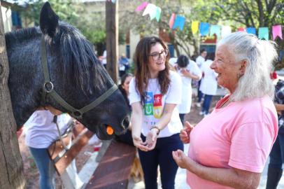  PORTO ALEGRE, RS, BRASIL, 16/06/2019: Ação voluntária de professores e alunos da UniRitter, que farão festa junina para idosos de asilo. Faz parte de projeto de terapia com animais da instituição (cães e um cavalo crioulo estarão no local)Indexador: ISADORA NEUMANN