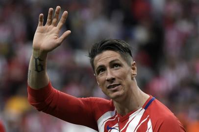 fernando torres