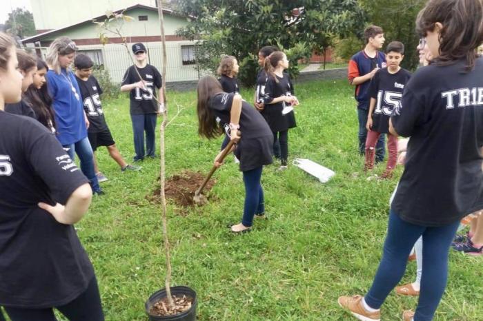 Divulgação / Parceiros Voluntários