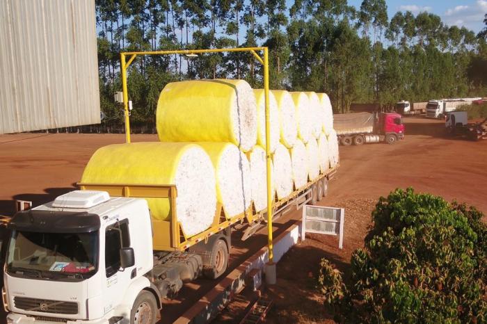 Divulgação / Fazenda Bom Futuro