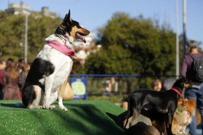 cachorródromo , praça , encol , praça da encol , porto alegre , cachorro , cachorros , inauguração