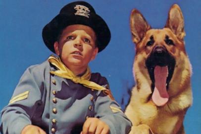 As Aventuras de Rin Tin Tin