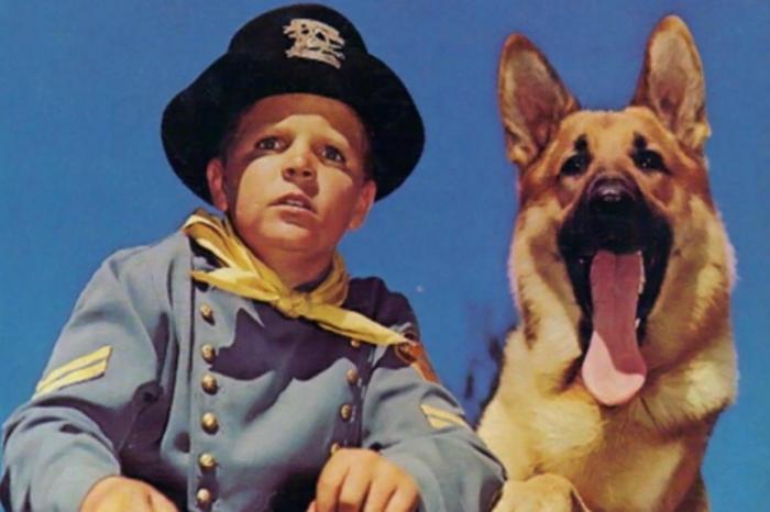 Rin Tin Tin - Foto: Reprodução