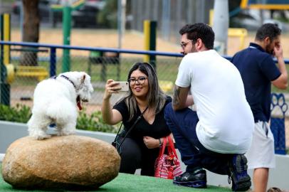  Praça da Encol, zona leste da Capital, o cachorródromo Madame Kate é um espaço de 840 m² de área revitalizada com bebedouro especial para cães, obstáculos recreativos, morrinhos em grama sintética.