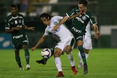 palmeiras - guarani