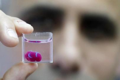 This photo taken on April 15, 2019 at the University of Tel Aviv shows a 3D print of heart with human tissue. - Scientists in Israel on Monday unveiled a 3D print of a heart with human tissue and vessels, calling it a first and a major medical breakthrough that advances possibilities for transplants. (Photo by JACK GUEZ / AFP)