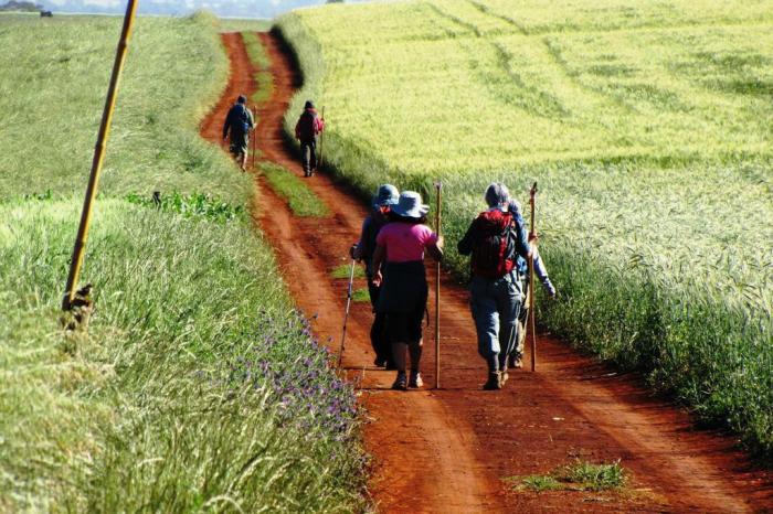 Caminho das Missões / Divulgação