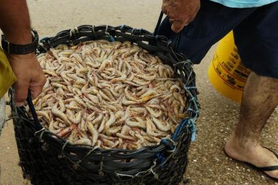  Pescadores de Governador Celso Ramos - Dori Edson da Luz Godoi - Pescador que acabara de chegar com cerca de 60 quilos de camarão