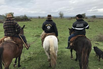 RS, BRASIL, 30-07-2017. Dados obtidos com base na Lei de Acesso a Informações Públicas (LAI) mostram que a maior parte das ocorrências de roubo de gado registradas em delegacias do estado é ignorada pela polícia. Nos anos de 2015 e 2016, as dez cidades em que esse tipo de crime mais ocorreu registraram 3.358 casos, mas apenas 198 inquéritos com indiciamento foram remetidos ao judiciário- o equivalente a 5,8% do total, conforme dados obtidos via Lei de Acesso a Informações Públicas. (GIOVANI GRIZOTTI/AGÊNCIA RBS)