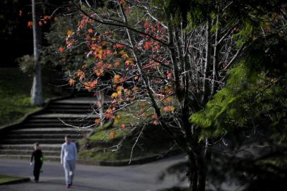  CAXIAS DO SUL, RS, BRASIL, 10/07/2019Clima frio na manhã de Caxias do Sul. (Lucas Amorelli/Agência RBS)