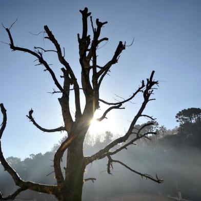  CAXIAS DO SUL, RS, BRASIL, 17/07/2019Céu azul e frio na manhã de Caxias do Sul. Imagens do bairro de Galópolis (Lucas Amorelli/Agência RBS)