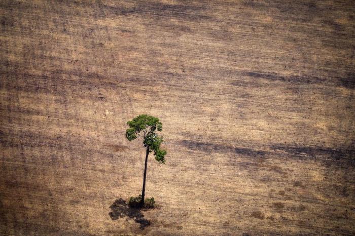 Raphael Alves / AFP