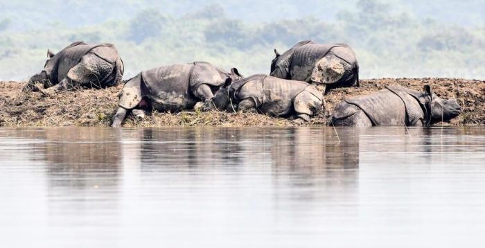 BIJU BORO / AFP