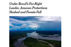 Reprodução / site The New York Times