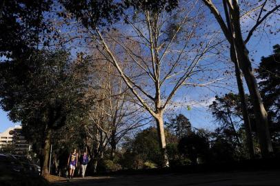  CAXIAS DO SUL, RS, BRASIL, 31/07/2019 - O inverno deixa a paisagem urbana mais colorida. (Marcelo Casagrande/Agência RBS)