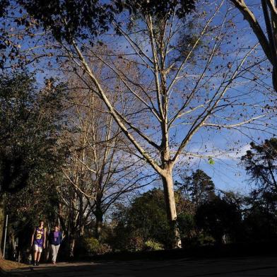  CAXIAS DO SUL, RS, BRASIL, 31/07/2019 - O inverno deixa a paisagem urbana mais colorida. (Marcelo Casagrande/Agência RBS)