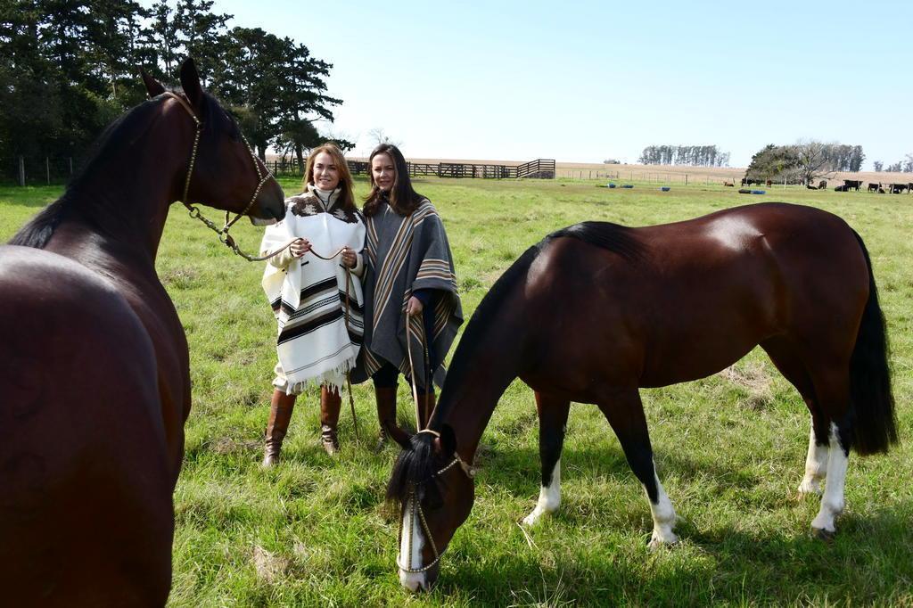 Elas tomam as rédeas: as mulheres que levam seus cavalos à final do Freio  de Ouro | GZH