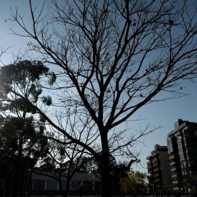  CAXIAS DO SUL, RS, BRASIL, 16/08/2019Praça Jardim América.(Lucas Amorelli/Agência RBS)