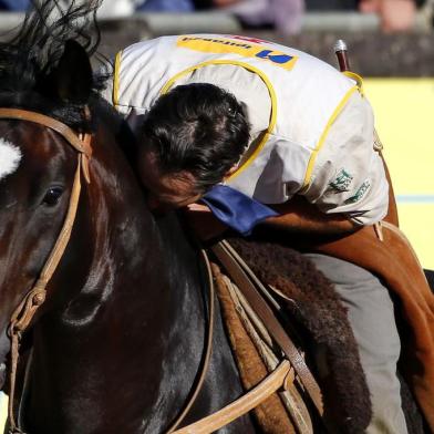  ESTEIO, RS, BRASIL, 26-08-2018: Freio de Ouro 2018 teve como campeão na categoria de machos o cavalo de número 76, JA Libertador, primeiro Bi-Campeão da competição (FOTO FÉLIX ZUCCO/AGÊNCIA RBS, Editoria SuaVida).Indexador: Felix Zucco